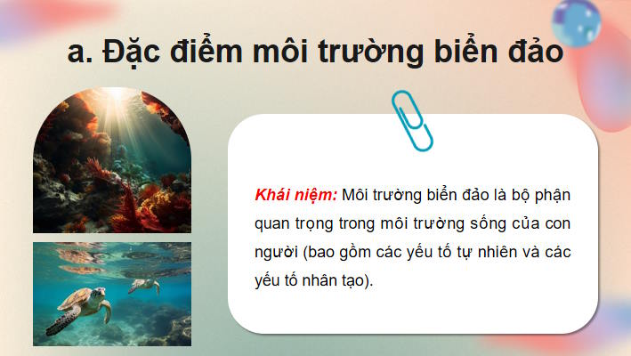 Môi trường và tài nguyên thiên nhiên biển đảo Việt Nam
