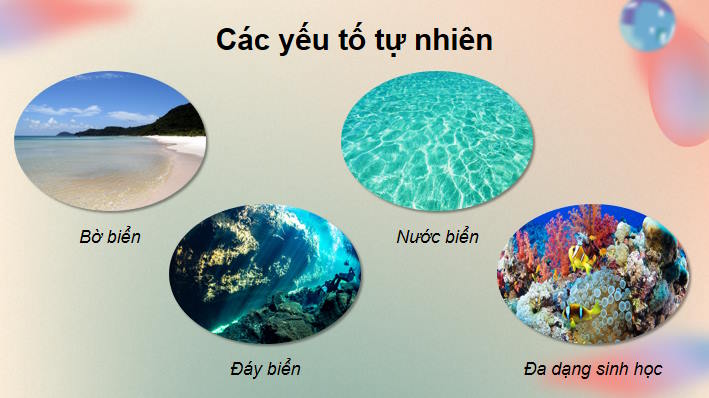 Môi trường và tài nguyên thiên nhiên biển đảo Việt Nam