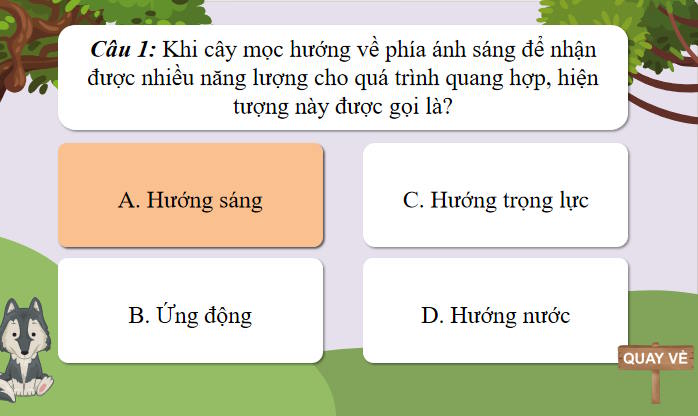 Trò chơi khởi động Sinh học 11 Bài 15