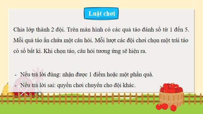 Trò chơi khởi động Sinh học 11 Bài 19
