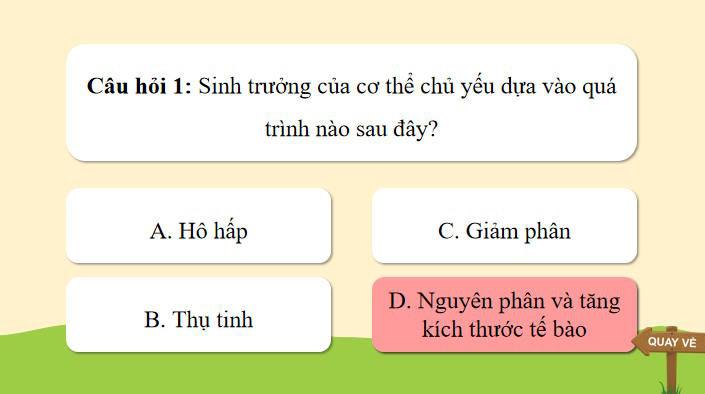 Trò chơi khởi động Sinh học 11 Bài 19