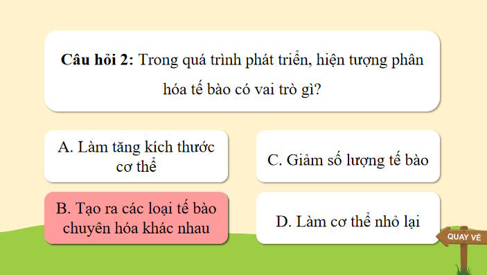 Trò chơi khởi động Sinh học 11 Bài 19