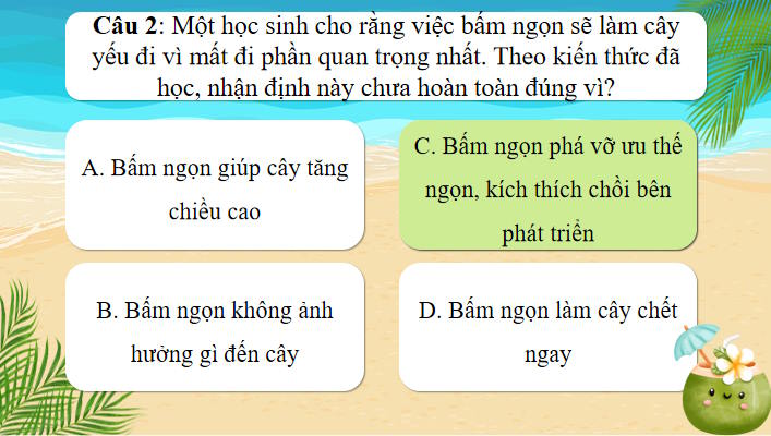 Trò chơi khởi động Sinh học 11 Bài 21