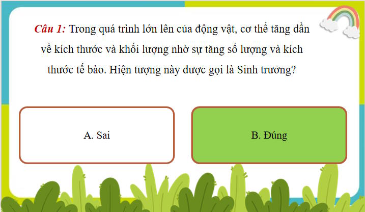 Trò chơi khởi động Sinh học 11 Bài 22