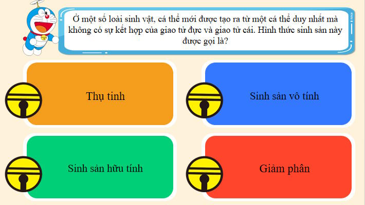 Trò chơi khởi động Sinh học 11 Bài 24