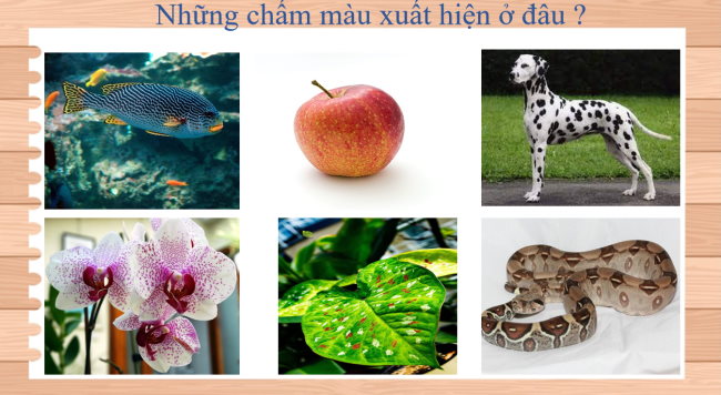 PowerPoint Mĩ thuật 1 Chủ đề 2: Sáng tạo từ những chấm màu