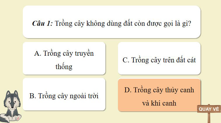 Trò chơi khởi động Công nghệ Trồng trọt 10 Bài 25