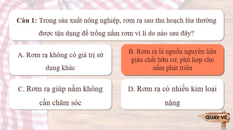 Trò chơi khởi động Công nghệ Trồng trọt 10 Bài 28