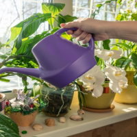 Trò chơi khởi động Công nghệ 4 Bài 6: Chăm sóc hoa, cây cảnh trong chậu
