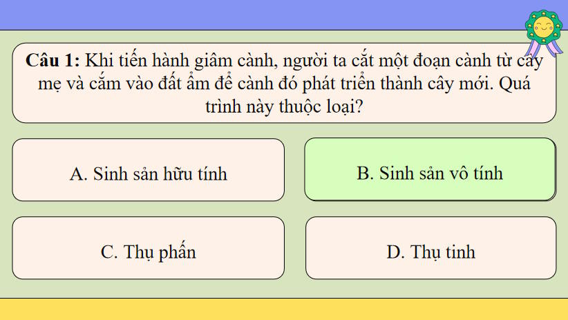 Sinh học 11 Bài 26 Thực hành Nhân giống vô tính và thụ phấn cho cây