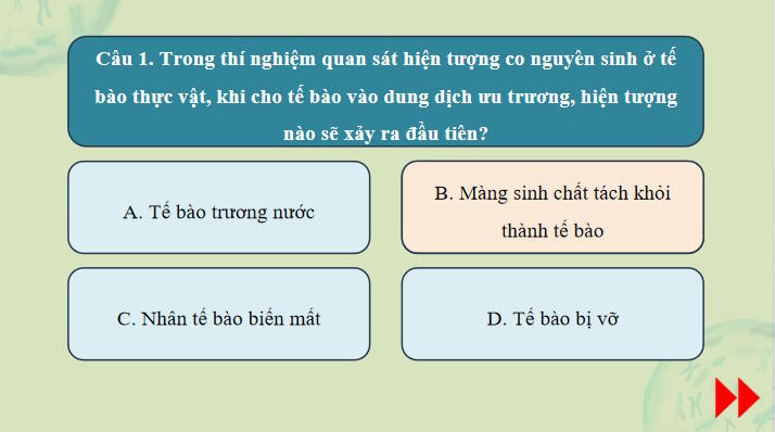 Game khởi động Sinh học 10 Bài 11