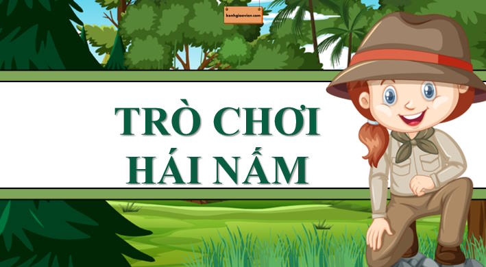 Game khởi động Sinh học 10 Bài 13