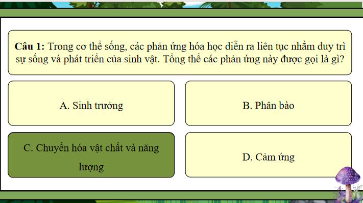 Game khởi động Sinh học 10 Bài 13