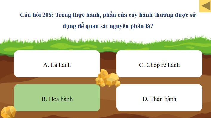 Game khởi động Sinh học 10 Bài 18