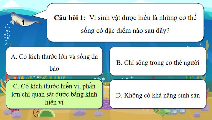 Game khởi động Sinh học 10 Bài 20