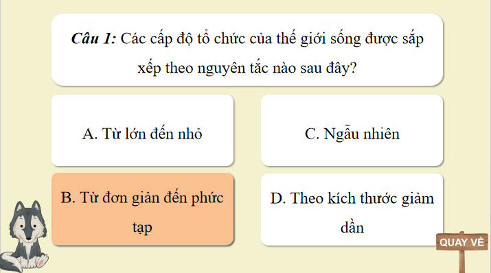Game khởi động Sinh học 10 Bài 3