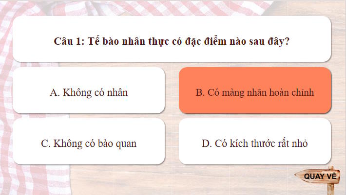 Game khởi động Sinh học 10 Bài 8