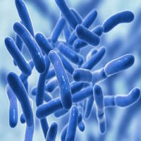 Trò chơi khởi động Sinh học 10 Bài 24: Khái quát về virus