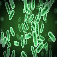 Trò chơi khởi động Sinh học 10 Bài 25: Một số bệnh do virus và các thành tựu nghiên cứu ứng dụng virus