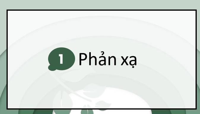 powerpoint sinh hoat lop chu diem thang 5 ve bac ho 2*562348