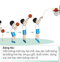 Giáo án mầm non: Ném bóng bằng một tay