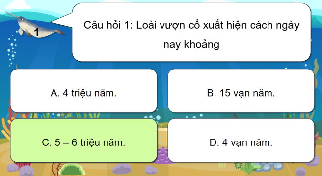 Game khởi động Lịch sử 6 Bài 4