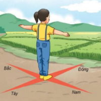 Trò chơi khởi động Địa lí 6 Bài 9: Xác định phương hướng ngoài thực địa
