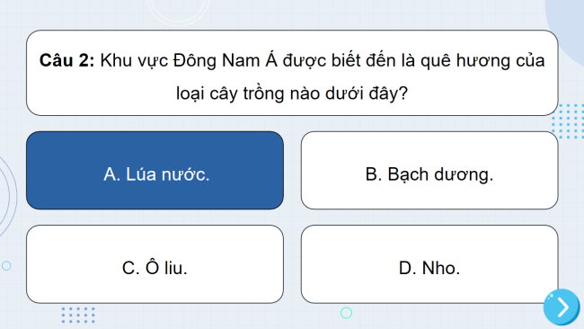 Game khởi động Lịch sử 6 Bài 11