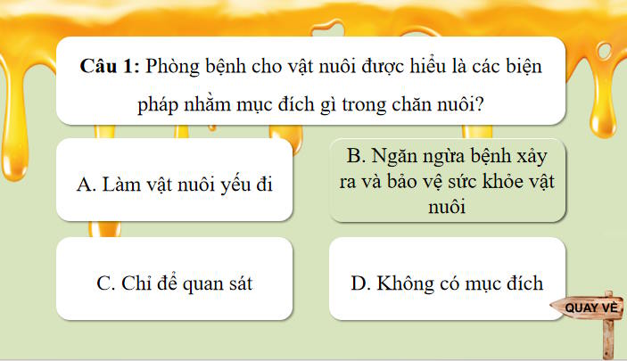 Trò chơi khởi động Công nghệ 7 Bài 11
