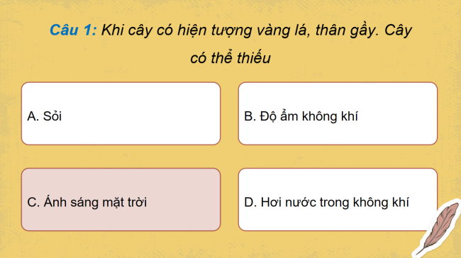 Game khởi động Khoa học 4 Bài 17
