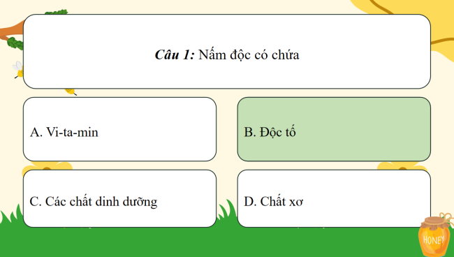Game khởi động Khoa học 4 Bài 21