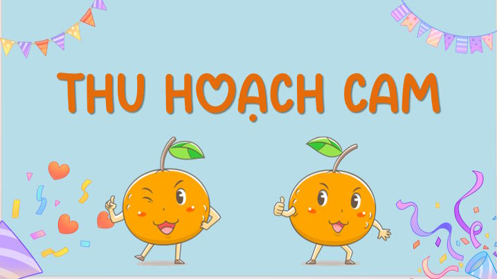 Trò chơi khởi động Toán 8 Bài 13
