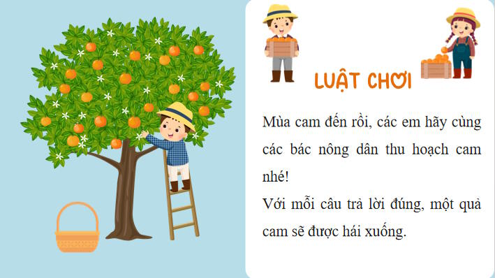 Trò chơi khởi động Toán 8 Bài 13