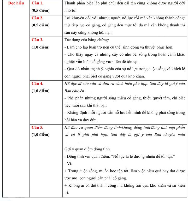 Đáp án đề thi vào lớp 10 môn Văn Hưng Yên 2026