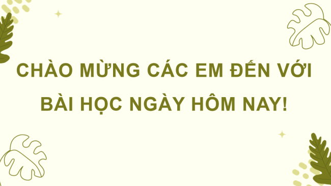 PowerPoint Lịch sử - Địa lí 4 Bài 20