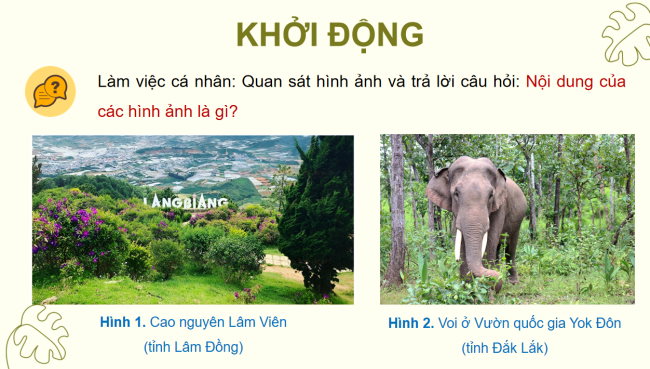 PowerPoint Lịch sử - Địa lí 4 Bài 20