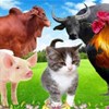 Giáo án mầm non: Động vật sống trong gia đình