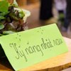 Giáo án mầm non: Rèn kỹ năng nhặt rau