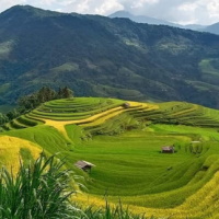 Trò chơi khởi động Lịch sử - Địa lí 4 Bài 5: Dân cư và hoạt động sản xuất ở vùng Trung du và miền núi Bắc Bộ
