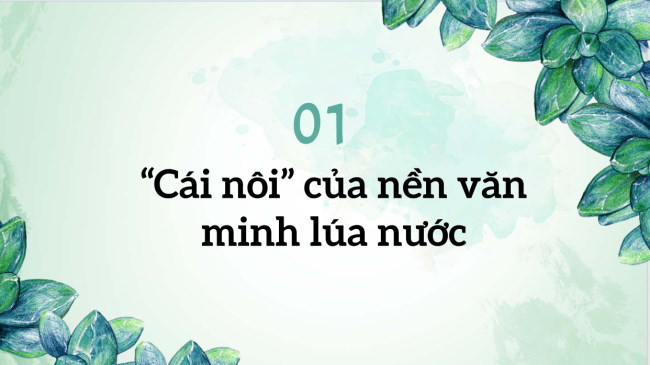 PowerPoint Lịch sử 6 Bài 11