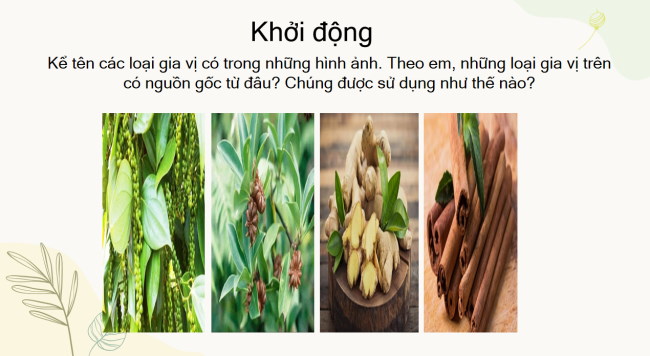 PowerPoint Lịch sử 6 Bài 12