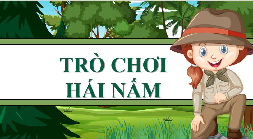 Trò chơi khởi động Tin học 9 Bài 9a: