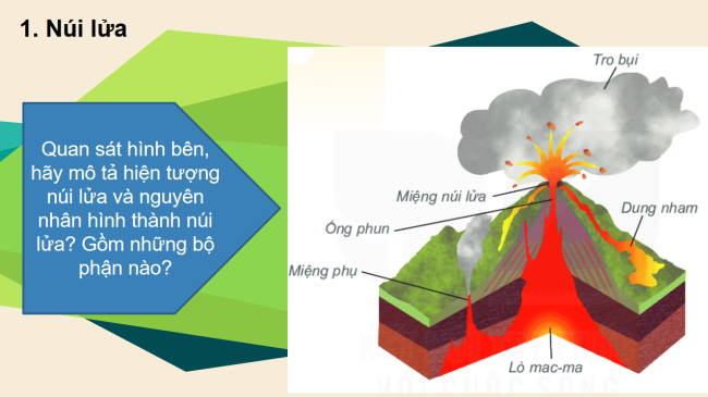 PowerPoint Địa lí 6 Bài 12