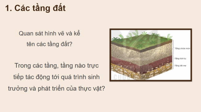 PowerPoint Địa lí 6 Bài 22