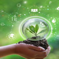 PowerPoint Địa lí 6 Bài 26: Thực hành Tìm hiểu môi trường tự nhiên địa phương