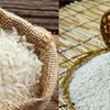  Giáo án mầm non: Bé biết gì về gạo nếp, sự đổi màu của gạo nếp