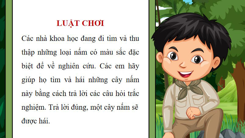 Trò chơi khởi động Tin học 10 Bài 31