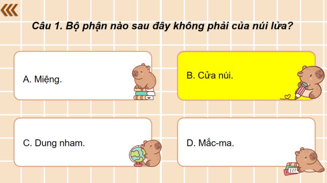 Game khởi động Lịch sử 6 Bài 12