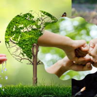 Trò chơi khởi động Địa lí 6 Bài 29: Bảo vệ tự nhiên và khai thác thông minh các tài nguyên thiên nhiên vì sự phát triển bền vững