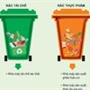 Giáo án mầm non: Phân loại rác thải và để đúng nơi quy định